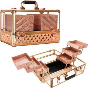 Armored Acrylic Makeup Train Case Professional Nail Art Storage with 6-Tiers Acc